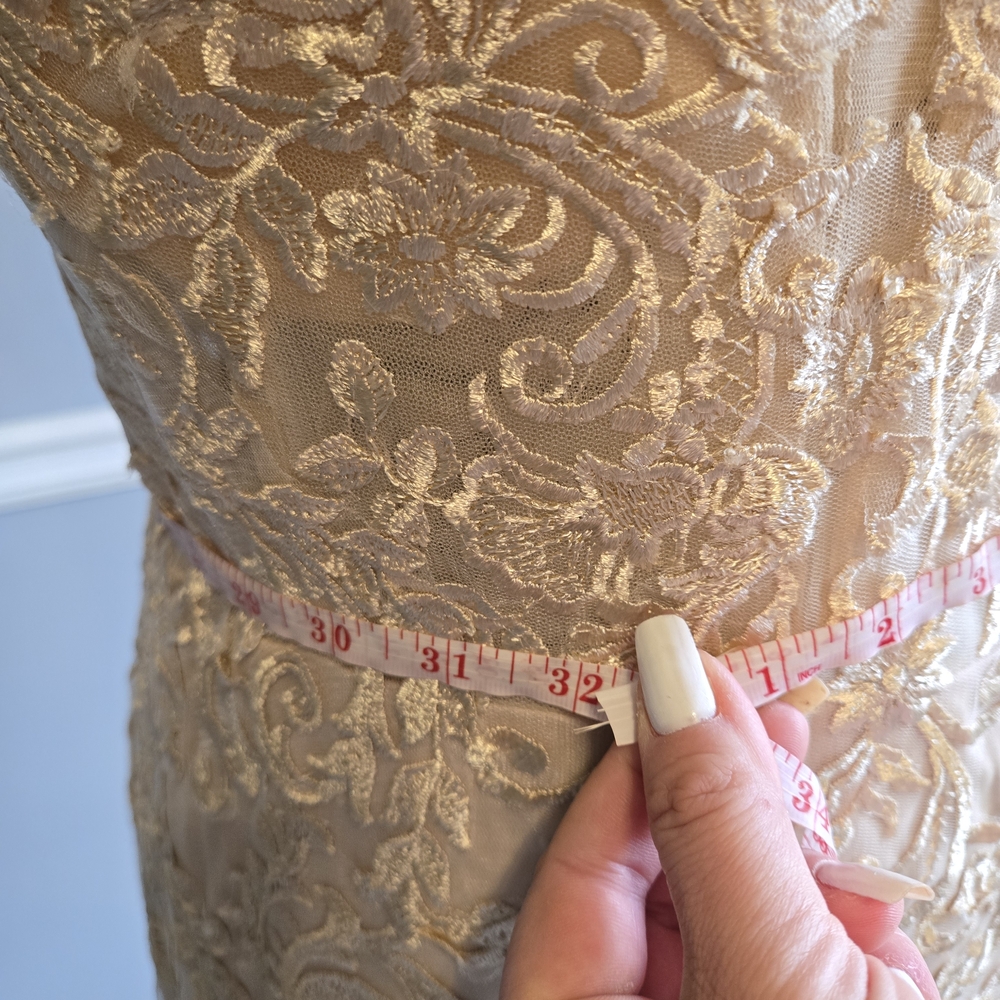 Elegant Lace Gown with Train - Picture 7 of 7